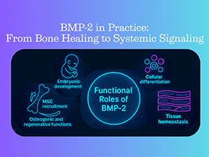BMP-2 in Practice: From Bone Healing to Systemic Signaling