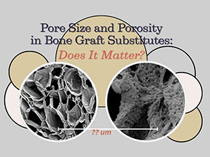 Cracking the Code: How Graft Porosity and Pore Size Unlock Bone Graft Success